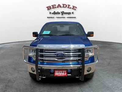 2010 Ford F-150 Base