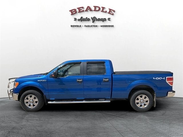 2010 Ford F-150 Base