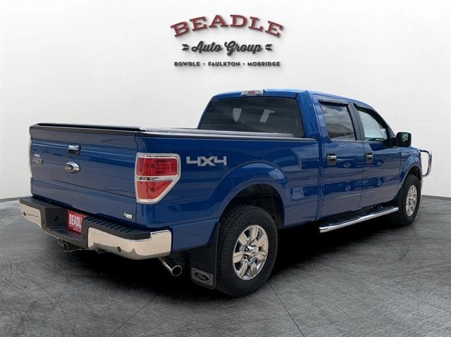 2010 Ford F-150 Base