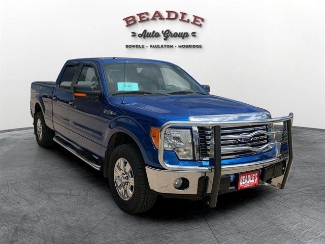 2010 Ford F-150 Base