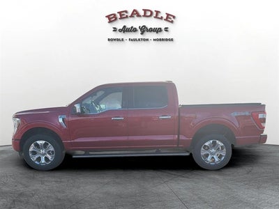 2023 Ford F-150 Platinum